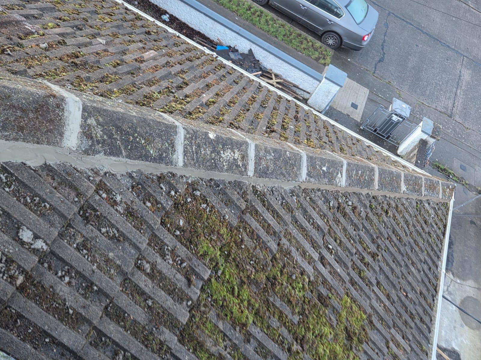 Roof condition before maintenance